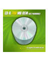 CD-R OEM [ spindle 100 | 700MB | 52x | Silver ] - nr 1