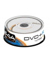 FREESTYLE DVD+R 4,7GB 16X CAKE*25 [56682] - nr 2