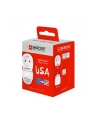Skross Adapter podróżny do USA - nr 22
