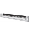 APRAnet Panel szczotkowy 19''  RAL 7035 - nr 4