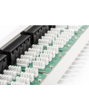 Patch panel Digitus  ISDN 19'' 50-portowy - nr 12