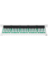 Patch panel Digitus  ISDN 19'' 50-portowy - nr 24