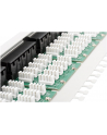Patch panel Digitus  ISDN 19'' 50-portowy - nr 29