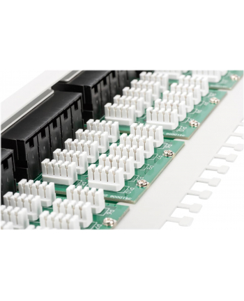Patch panel Digitus  ISDN 19'' 50-portowy