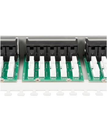 Patch panel Digitus  ISDN 19'' 50-portowy