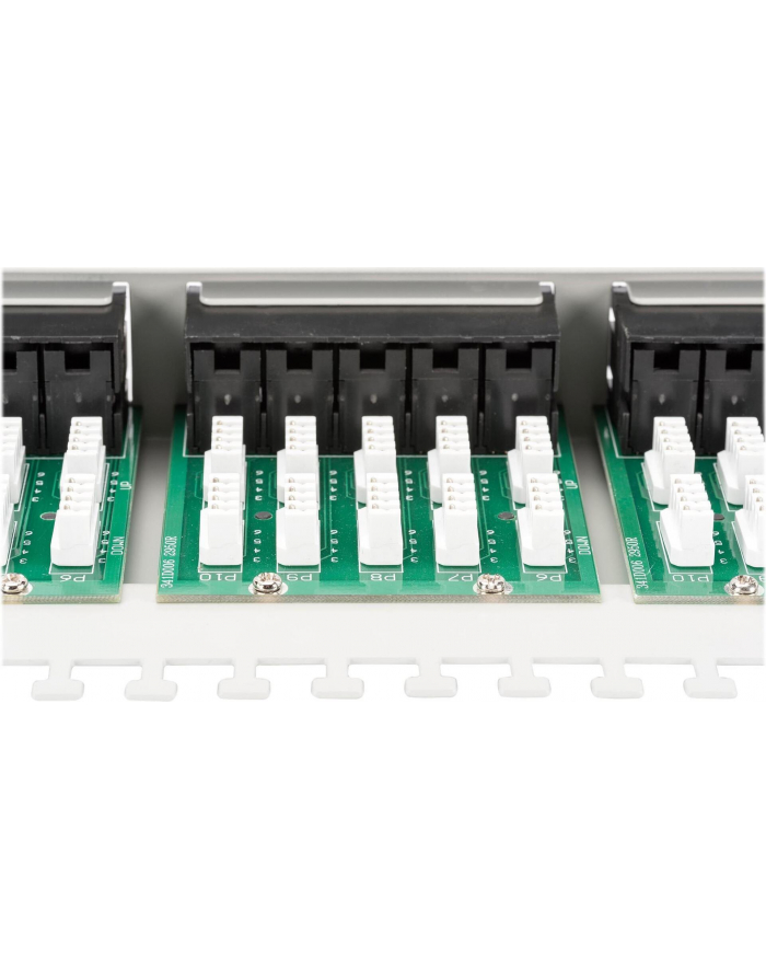 Patch panel Digitus  ISDN 19'' 50-portowy główny