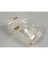 Netrack wtyk RJ45 8p8c UTP linka, kat. 5e (100 szt) - nr 2