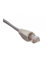 Netrack osłonka na wtyk RJ45 8p szara (100 szt) - nr 9