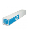 Papier HP Professional Satin Photo | 300g | rola 24' | 15.2m - nr 3