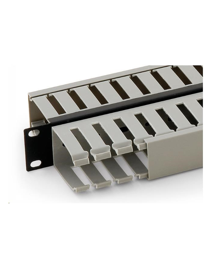 ORGANIZER KABLI 19  1U RAC-VP-X03 Dwustronny TRITON główny