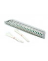 Patch panel 19  24xRJ45 nieekranowany  Cat. 6+ (A0051) - nr 4