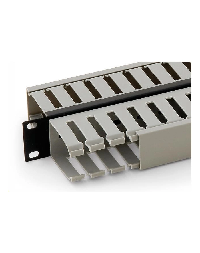ORGANIZER KABLI 19  1U RAC-VP-X03 Dwustronny TRITON główny