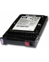 HP HDD SAS DP 146G 10k 2.5 HotPlug 6G ENT SFF - nr 4