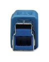 MANHATTAN Kabel USB 3.0 A-B długość kabla 2m, niebieski<br>[322430] - nr 16