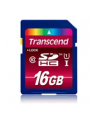 Transcend karta pamięci SDHC UHS-1  16GB Class 10 ULTIMATE HD VIDEO - nr 37
