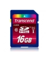 Transcend karta pamięci SDHC UHS-1  16GB Class 10 ULTIMATE HD VIDEO - nr 37