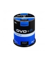 DVD+R Intenso [ cake box 100 | 4.7GB | 16x ] - nr 3