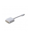 Adapter DisplayPort 1.1a mini DP - DVI M/F 0.15m - nr 12