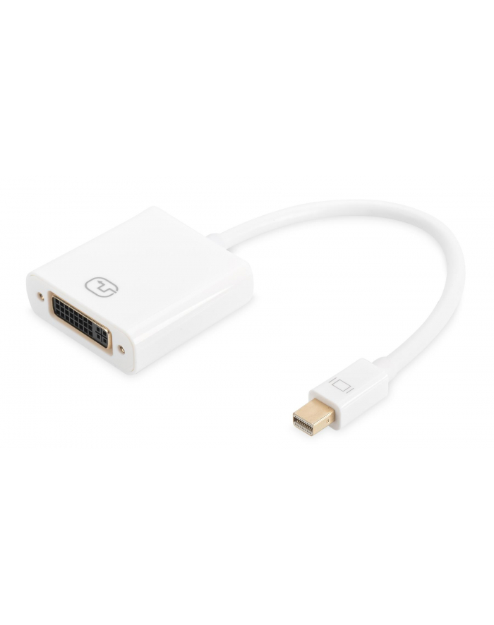 Adapter DisplayPort 1.1a mini DP - DVI M/F 0.15m główny