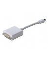 Adapter DisplayPort 1.1a mini DP - DVI M/F 0.15m - nr 17