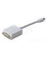 Adapter DisplayPort 1.1a mini DP - DVI M/F 0.15m - nr 7