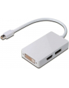 Adapter DisplayPort 1.1a miniDP-DP+HDMI+DVI 0.2m - nr 13