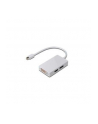 Adapter DisplayPort 1.1a miniDP-DP+HDMI+DVI 0.2m - nr 14