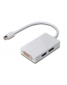 Adapter DisplayPort 1.1a miniDP-DP+HDMI+DVI 0.2m - nr 20