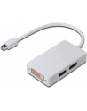 Adapter DisplayPort 1.1a miniDP-DP+HDMI+DVI 0.2m - nr 22
