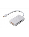 Adapter DisplayPort 1.1a miniDP-DP+HDMI+DVI 0.2m - nr 6