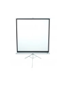 Ekran na statywie /1:1/ 203,2x203,2 MaxWhite / 113'''' white case - nr 1
