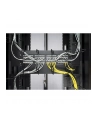 APC panel 19'' z wieszakami 1U - czarny - nr 13