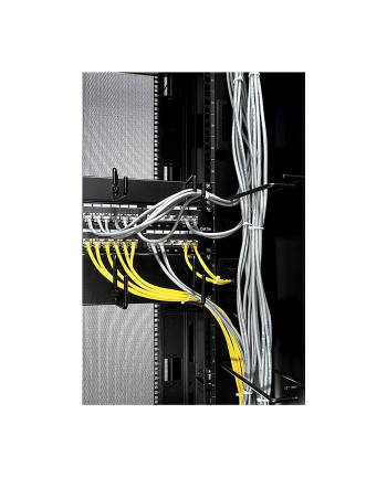 APC panel 19'' z wieszakami 1U - czarny