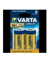Baterie VARTA Longlife Extra LR20/D 2szt - nr 16