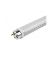 Żarówka ACME HP LED T8 S002 Transparent 8W80hG13 - nr 1