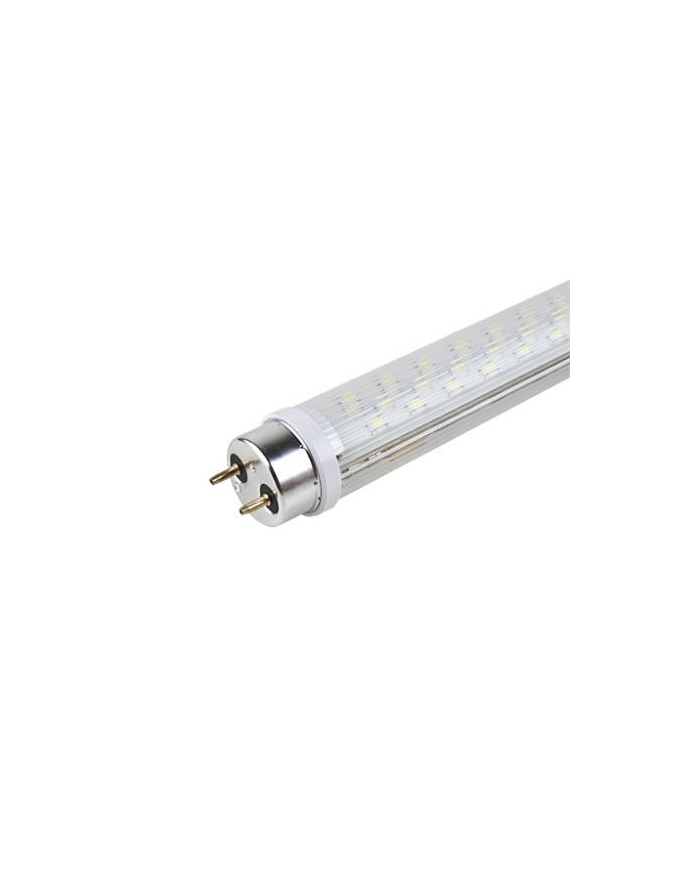 Żarówka ACME HP LED T8 S002 Transparent 8W80hG13 główny