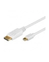 2m Mini Displayport  male -Displayport male, bulk cable - nr 3