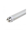 Żarówka ACME HP LED T8 S010 Transparent 18W80hG13 - nr 1