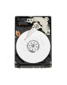 Dysk WD AV-25, 2.5'', 1TB, SATA/300, 5400RPM, 16MB cache - nr 21