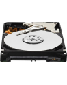 Dysk WD AV-25, 2.5'', 1TB, SATA/300, 5400RPM, 16MB cache - nr 41