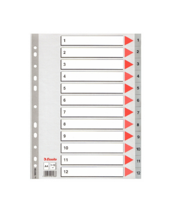 PZEKLADKI ESSELTE 1-12 SZARE PP