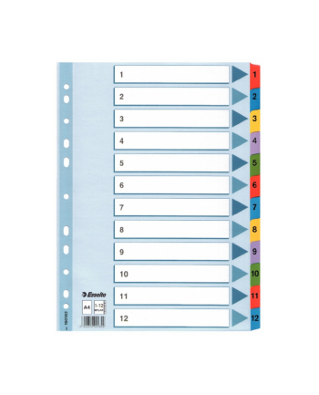 PZEKLADKI MYLAR ESSELTE 1-12 KARTONOWE,BIALE