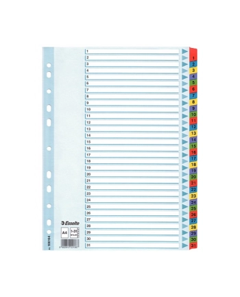 PZEKLADKI MYLAR ESSELTE 1-31 KARTONOWE,BIALE