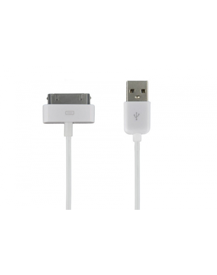 Kabel USB 2.0 do iPad / iPhone / iPod transfer/ładowanie 1.0m biały główny