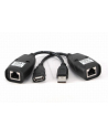 Przedłużacz USB 2.0 USB(AM)->LAN->USB(AF) 30M - nr 5