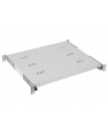 PÓŁKA DO SZAF 19'' 1U 350MM UDŹWIG DO 50KG SZARA EQUIP - nr 1