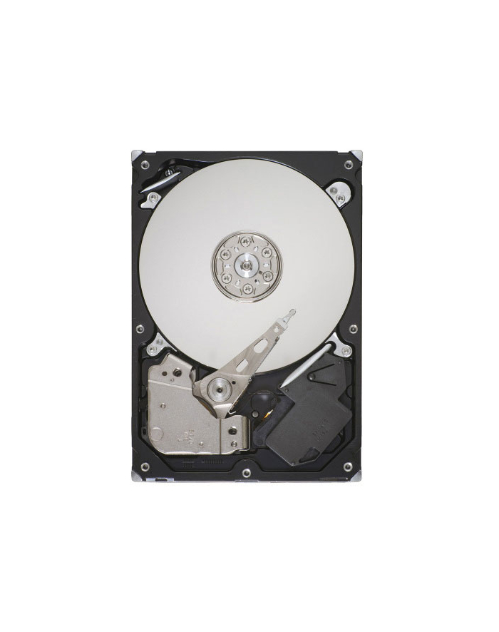 Dysk SEAGATE PIPELINE HD ST3250312CS 250GB 5900 8MB SATA główny