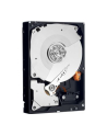 Dysk twardy WD Caviar Black, 3.5'', 500GB, SATA/600, 7200RPM, 32MB cache - nr 36