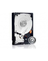 Dysk twardy WD Caviar Black, 3.5'', 500GB, SATA/600, 7200RPM, 32MB cache - nr 47