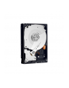 Dysk twardy WD Caviar Black, 3.5'', 500GB, SATA/600, 7200RPM, 32MB cache - nr 7